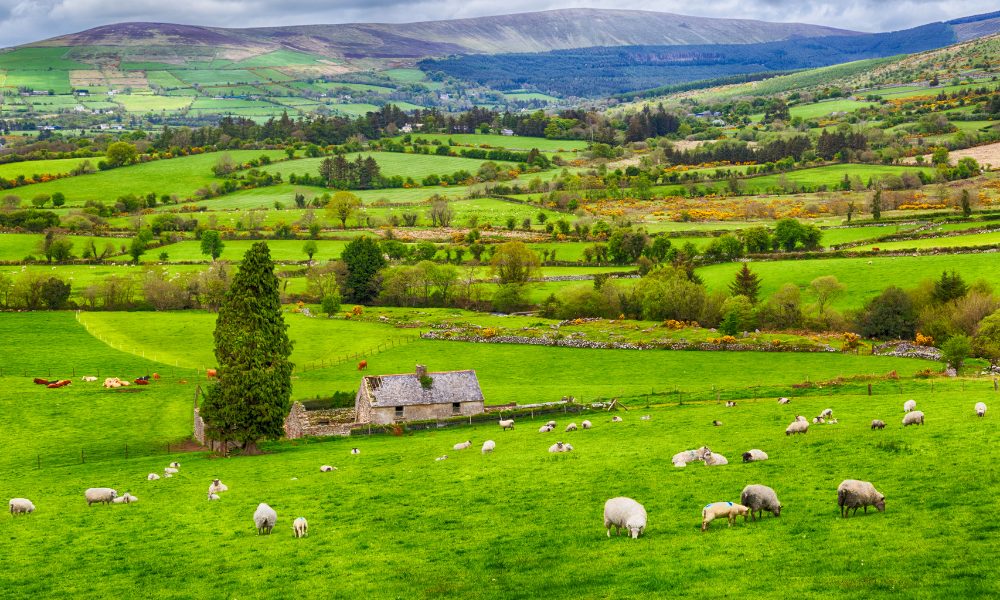 A landscape photo of rural Ireland