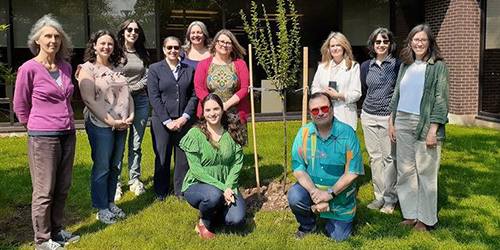 Library staff standing around a newly planted tree.